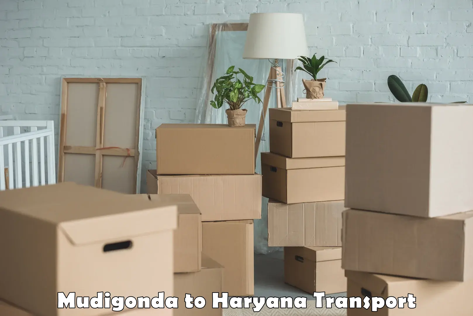 Interstate goods transport Mudigonda to Hansi
