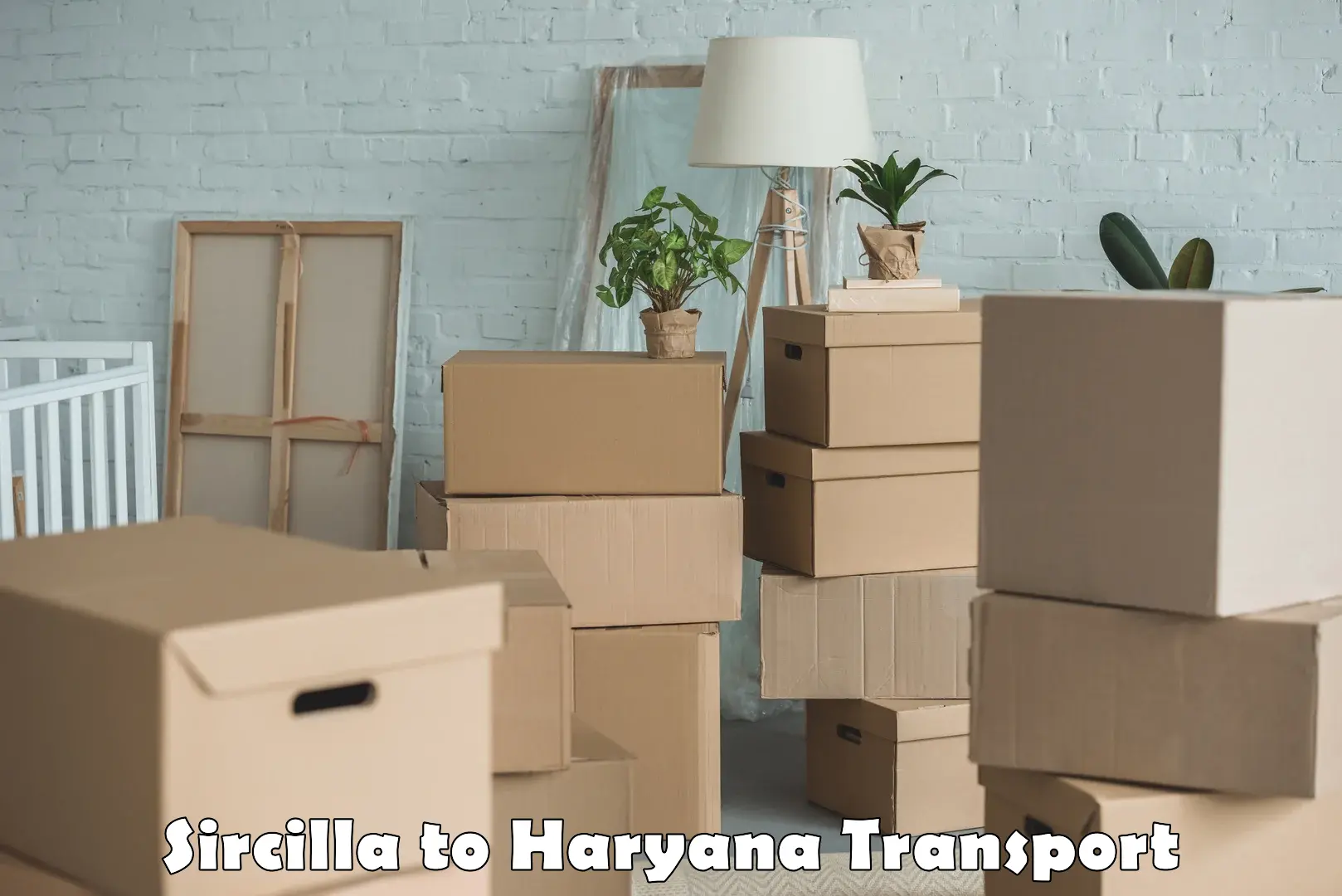 Luggage transport services Sircilla to Hansi