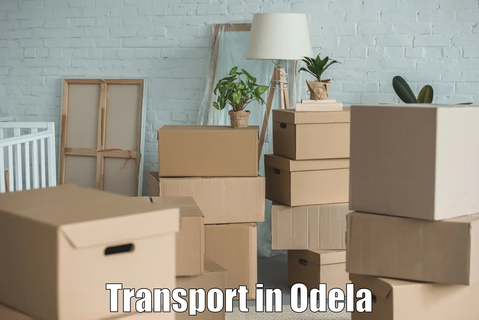 Door to door transport services in Odela