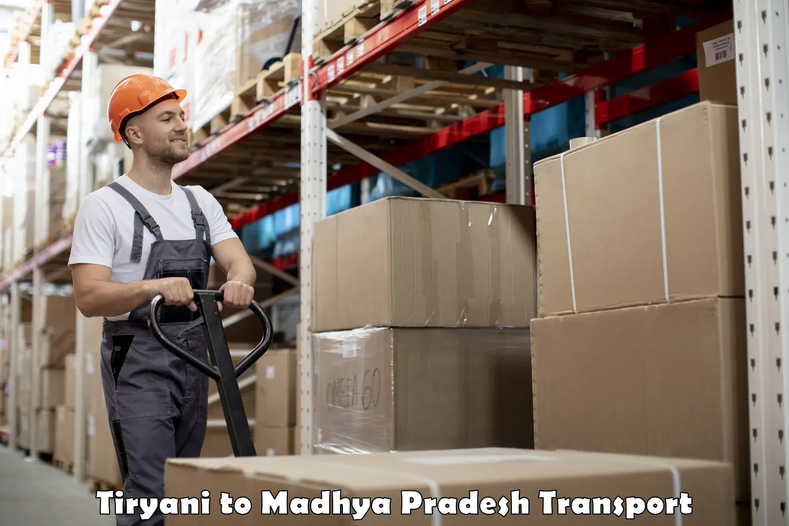 Container transportation services in Tiryani to Narsinghgarh